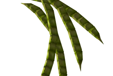 Coyote tobacco chew | Fallout Wiki