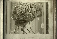 Calculator02.png (398 KB) Calculator brain