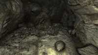 FO3 Vault 106 skeletons.jpg (403 KB) Ending of the cave, filled with skeletons