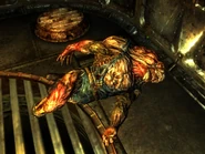 Failed subject2.jpg (294 КБ) Об'єкт у випробувальній камері 4