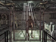 Дикі гулі за зачиненими дверима