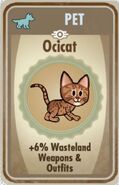 Ocicat card