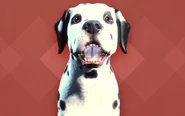 FO4 CC - Dalmatian.png (226 kB) Dálmata
