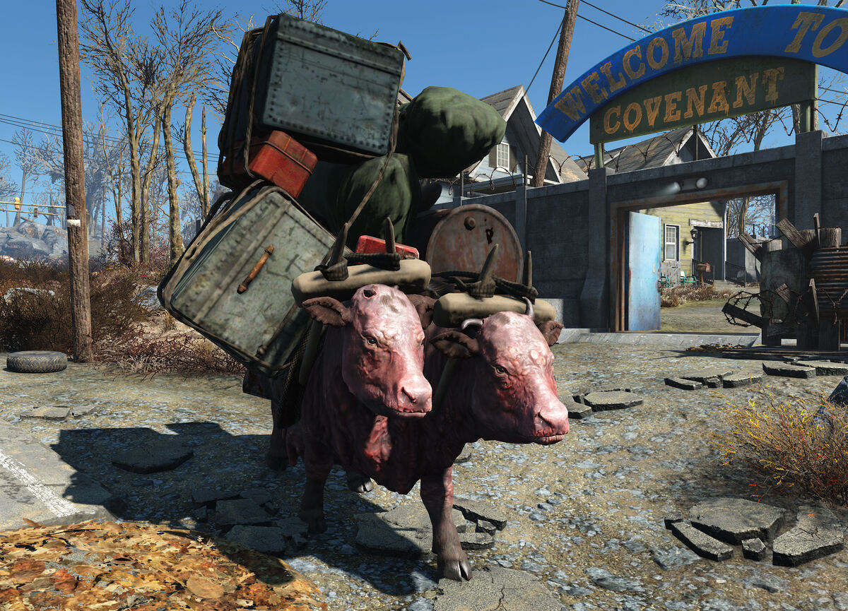 Fallout 4 брамин как назначить фото 4