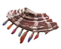 Fo4PackShawl GO.png (194 KB) Pack shawl