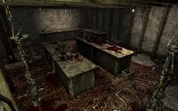 FNV Cannibal room 5