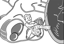 FO4 Icon Show No Mercy