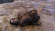 FO76 Kora.jpg