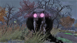 FO76 Lighthouse mothboy 1