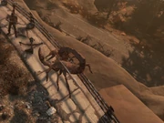 FO76 RE Radscorpion v Raiders