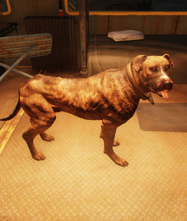 Fo76 Private Pupper