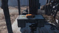 FO4-GunsAndBullets-TheCastle