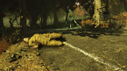 FO76 Private Miller 79.png