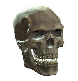 Skull