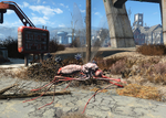 FO4 Red widow bloodbug