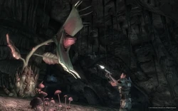 Spore plant (Fallout: New Vegas) | Fallout Wiki | Fandom