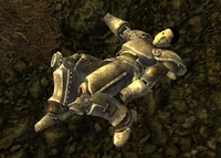 Paladin Raseleanne, Nellis Air Force Base