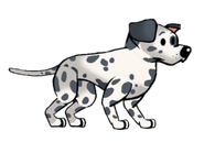 Dalmatian