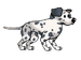 FoS Dalmatian