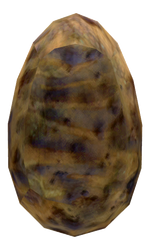Golden Gecko egg.png