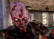 Scorched.jpg