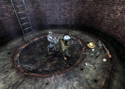 Little Jimmy's remains