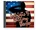 America the Beautiful