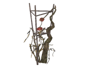 Tatoplant1