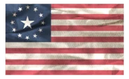 FO3 US flag nifskope.png (327 KB)