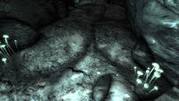 Camp Guardian caves