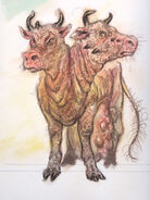 BrahminCA3.jpg (4,72 MB)