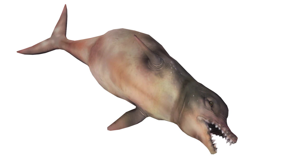 Whale (Fallout 4) | Fallout Wiki | Fandom