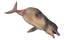 FO4-dolphin-whale-render