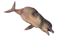FO4-dolphin-whale-render