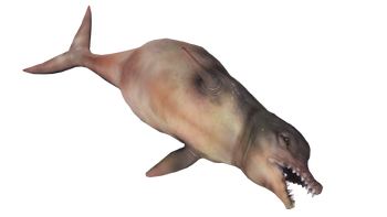 FO4-dolphin-whale-render