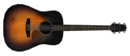 Acoustic Guitar