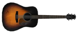 Acoustic Guitar