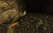 The explosives crate, a .44 Magnum revolver and the duffle bag