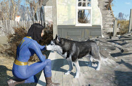 FO4CC Dog Rescue