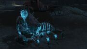 FO4NW Nukalurk hunter.jpg