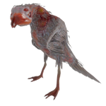 Fo4-radgull-transparent