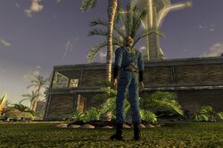 Vault jumpsuit Fallout New Vegas Fallout Wiki FANDOM powered by Wikia