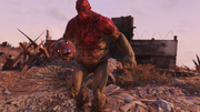 FO76 Super Mutant Suicider