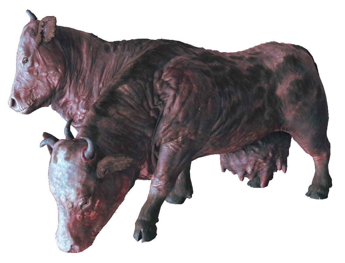 Meat bag (Fallout 4), Fallout Wiki