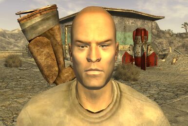 Fallout 2 companions, Fallout Wiki