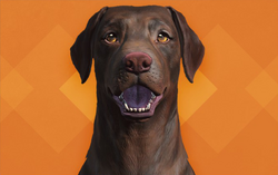 Creation Club Fallout Wiki Fandom