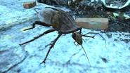 FO4 Radroach.jpg (694 КБ)