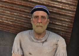 FO4 Solomon