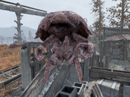 A mirelurk infected with the plague