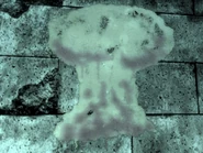 GreatWargraffiti.jpg (68 kB) Great War graffiti